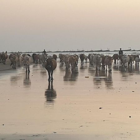Kasa Boubak Avec Cuisine Exterieure A 50 M De La Plage Kafountine Zewnętrze zdjęcie